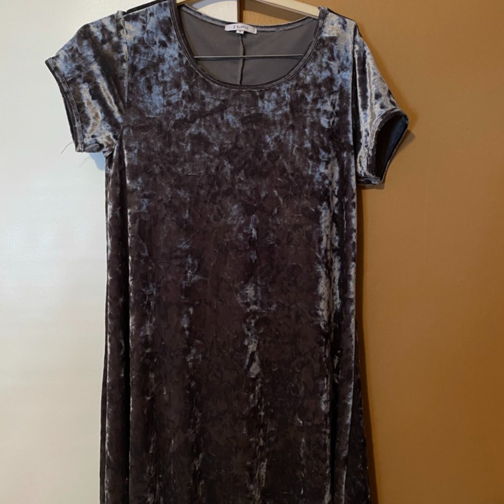 Z Supply Velvet Day Dress